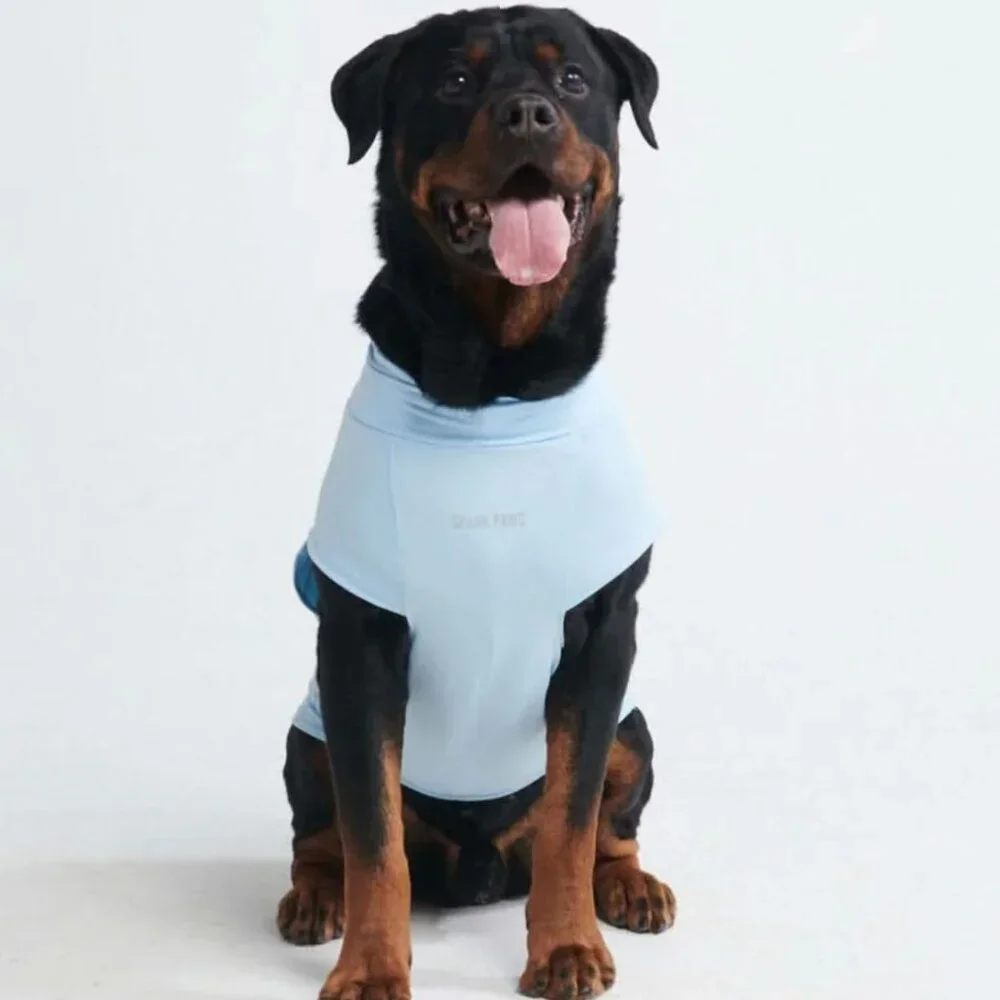 NEW Spark Paws Sunblock Dog T-Shirts (Pack of 2: Grey & Blue)